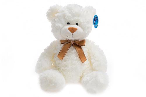 Teddybär Weiß