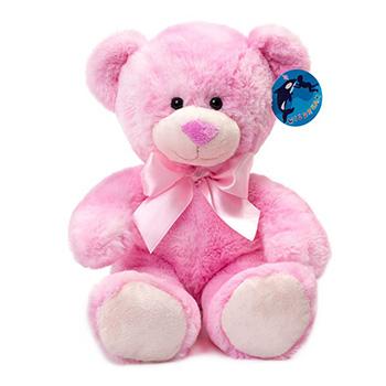 Teddybär Rosa