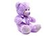 Teddybär Violett